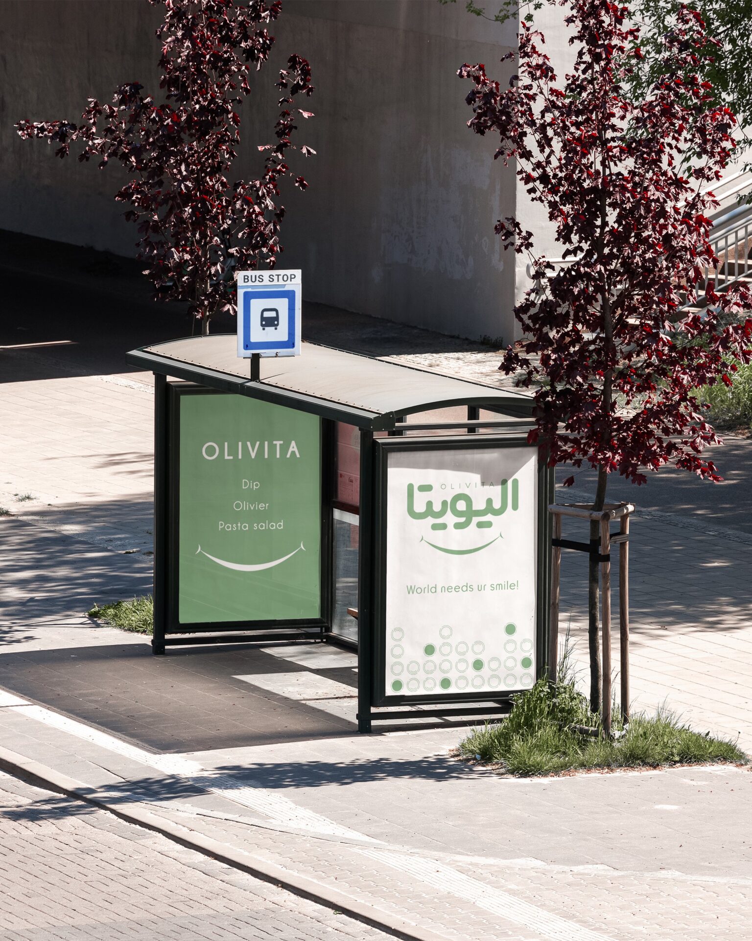 تماس باما الیویتا